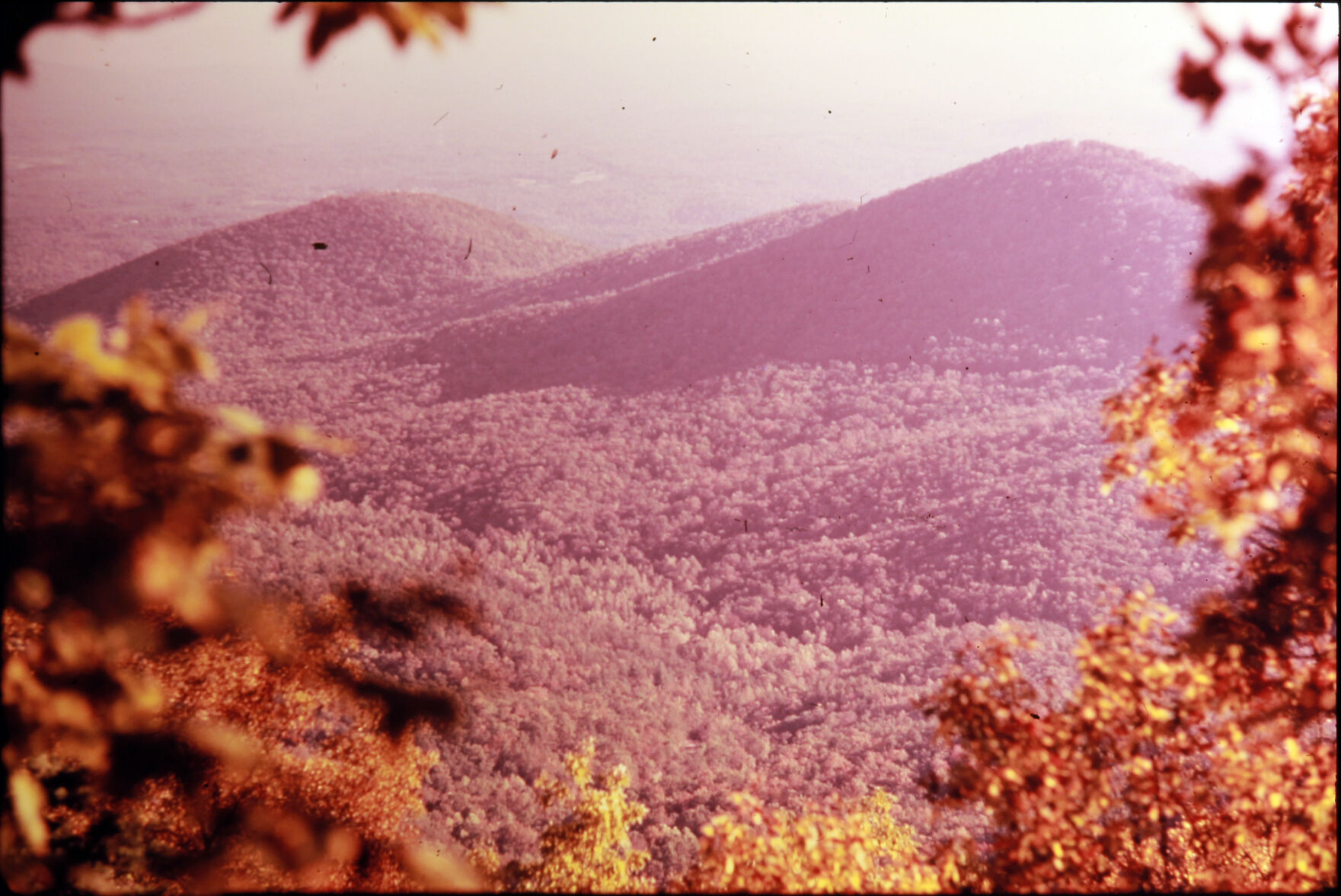 Early BC 2
